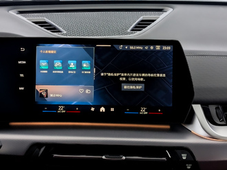 фото BMW X2 (U10) 2024