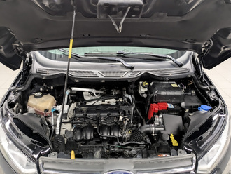 EcoSport