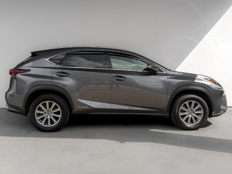 фото Lexus NX 2020
