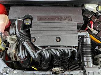 Fiesta VI